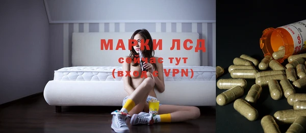 сатива Покров