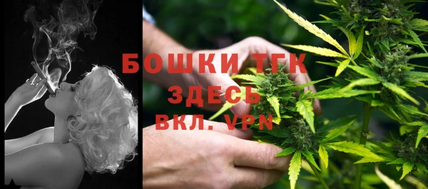 сатива Покров