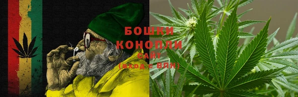 сатива Покров