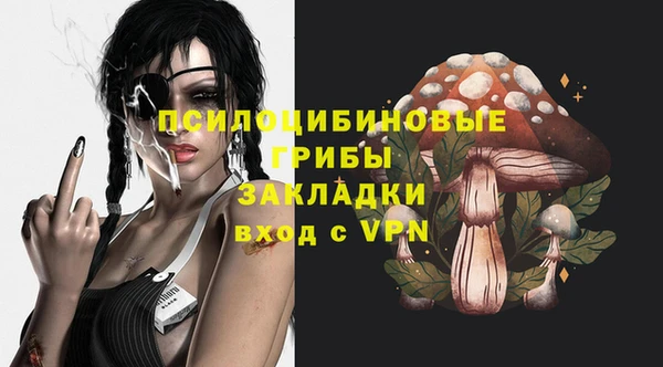 молекула духа Покачи