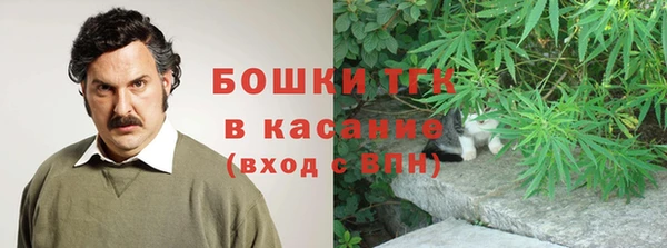 молекула духа Покачи