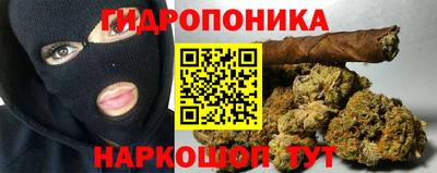 стаф Гусев