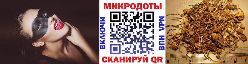 где можно купить   Сорочинск  Галлюциногенные грибы MAGIC MUSHROOMS 