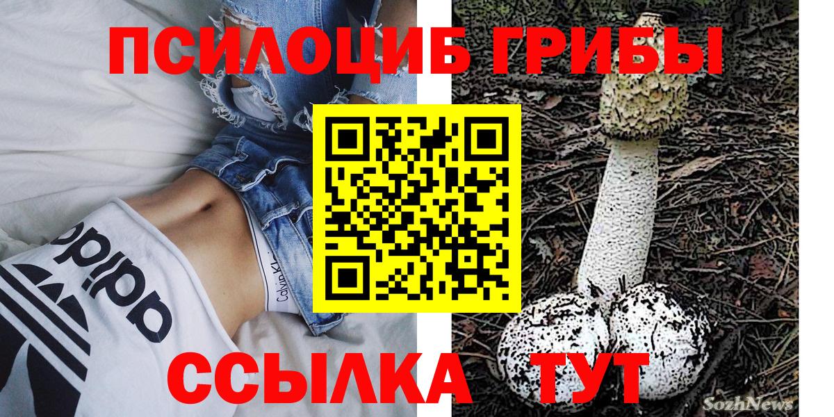 Псилоцибиновые грибы Psilocybine cubensis  Сорочинск 